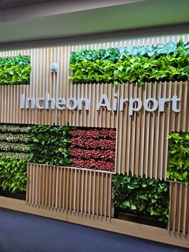 仁川空港到着