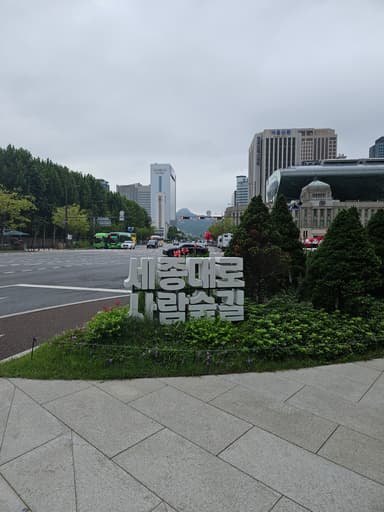 世宗大路
