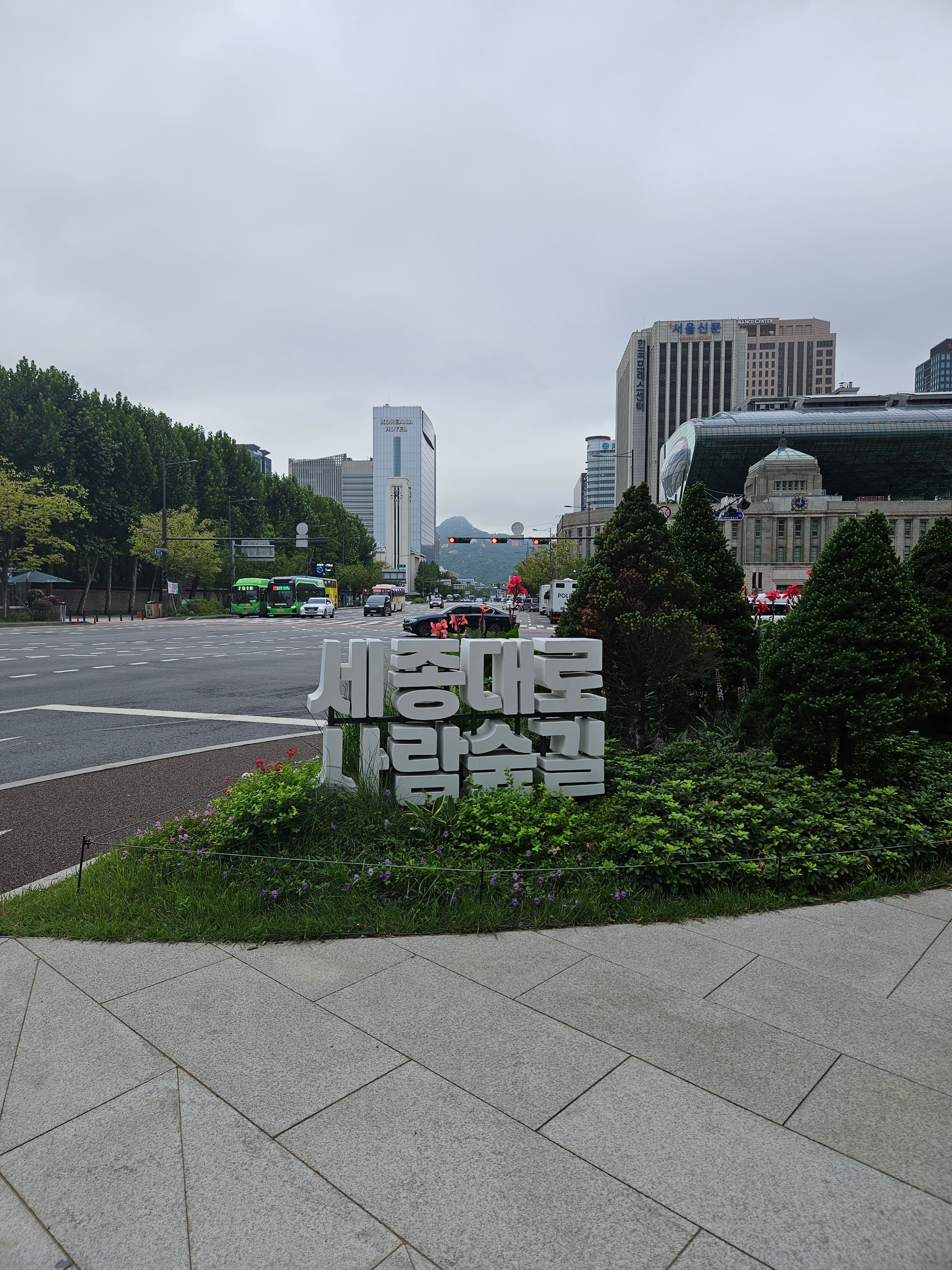 世宗大路