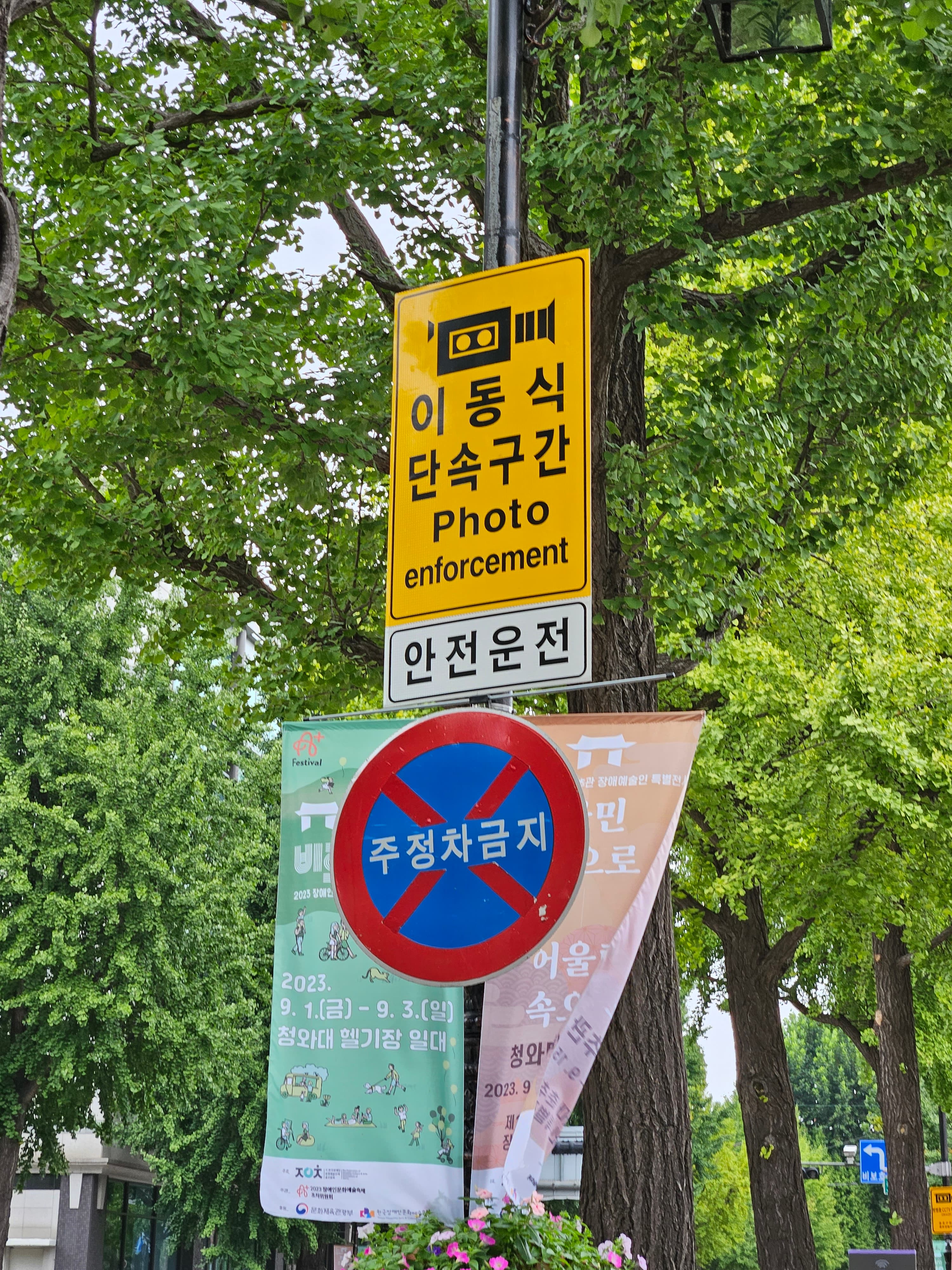 駐車禁止