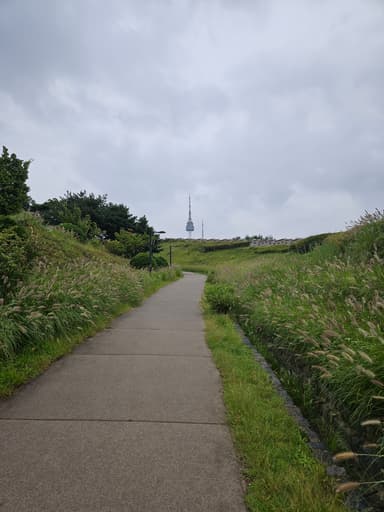 遠くに見えるソウルタワー