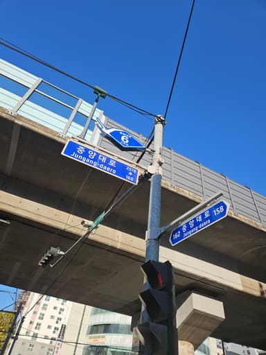 カモメ推し？