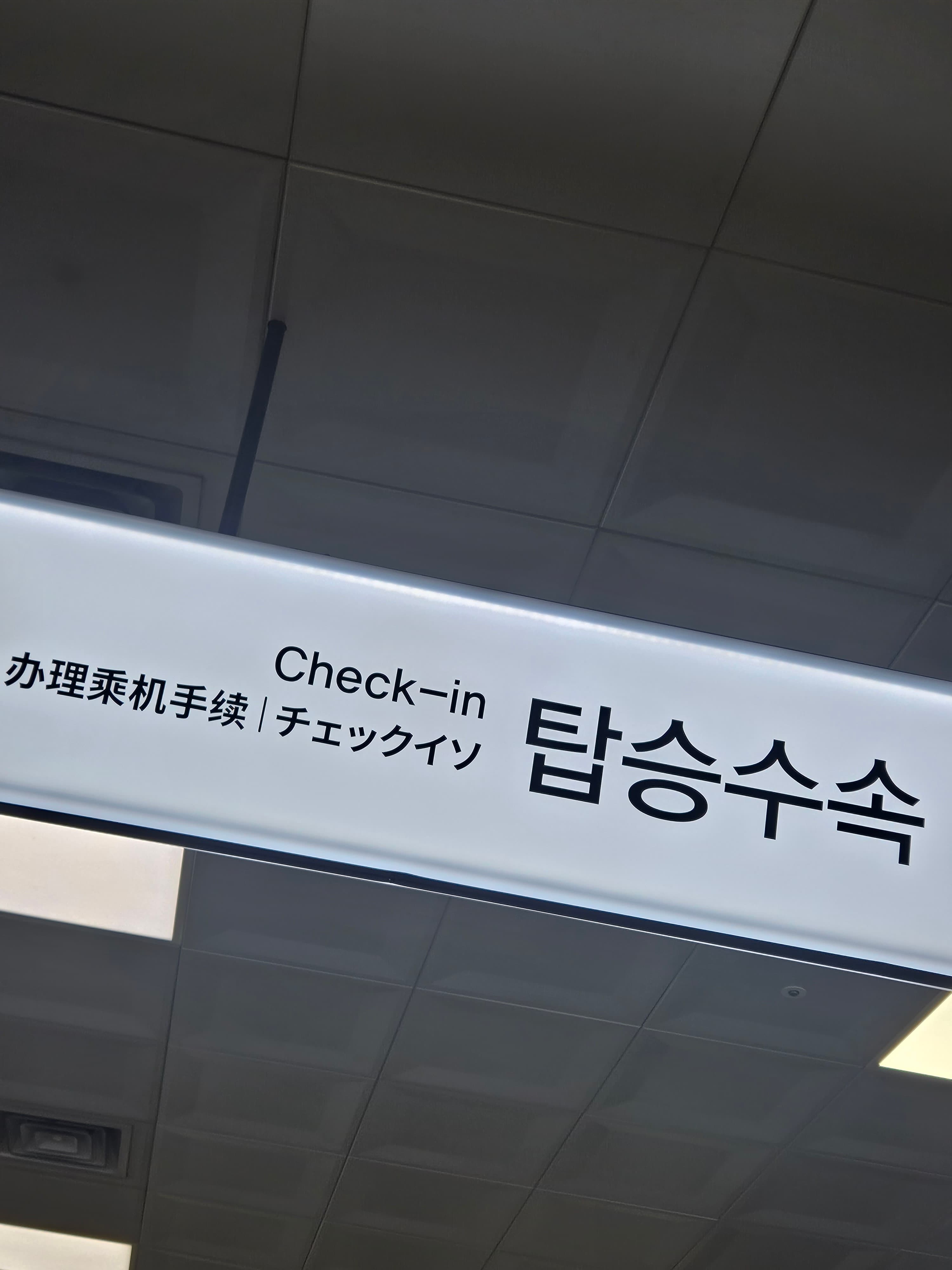 ちぇっくいそ