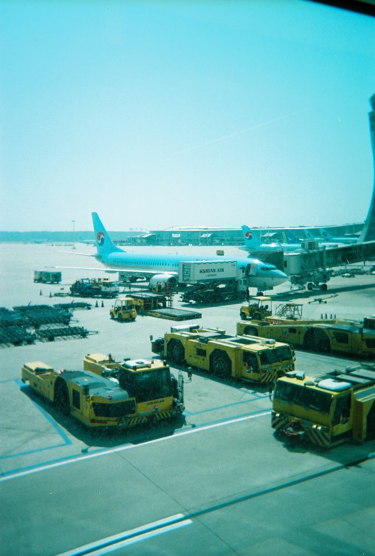 0_film_01.jpg