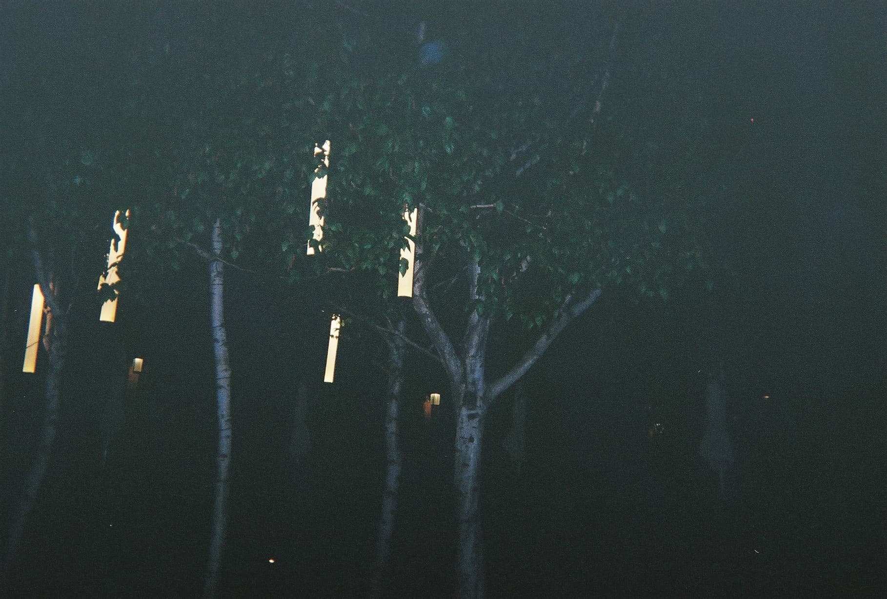 0_film_05.jpg