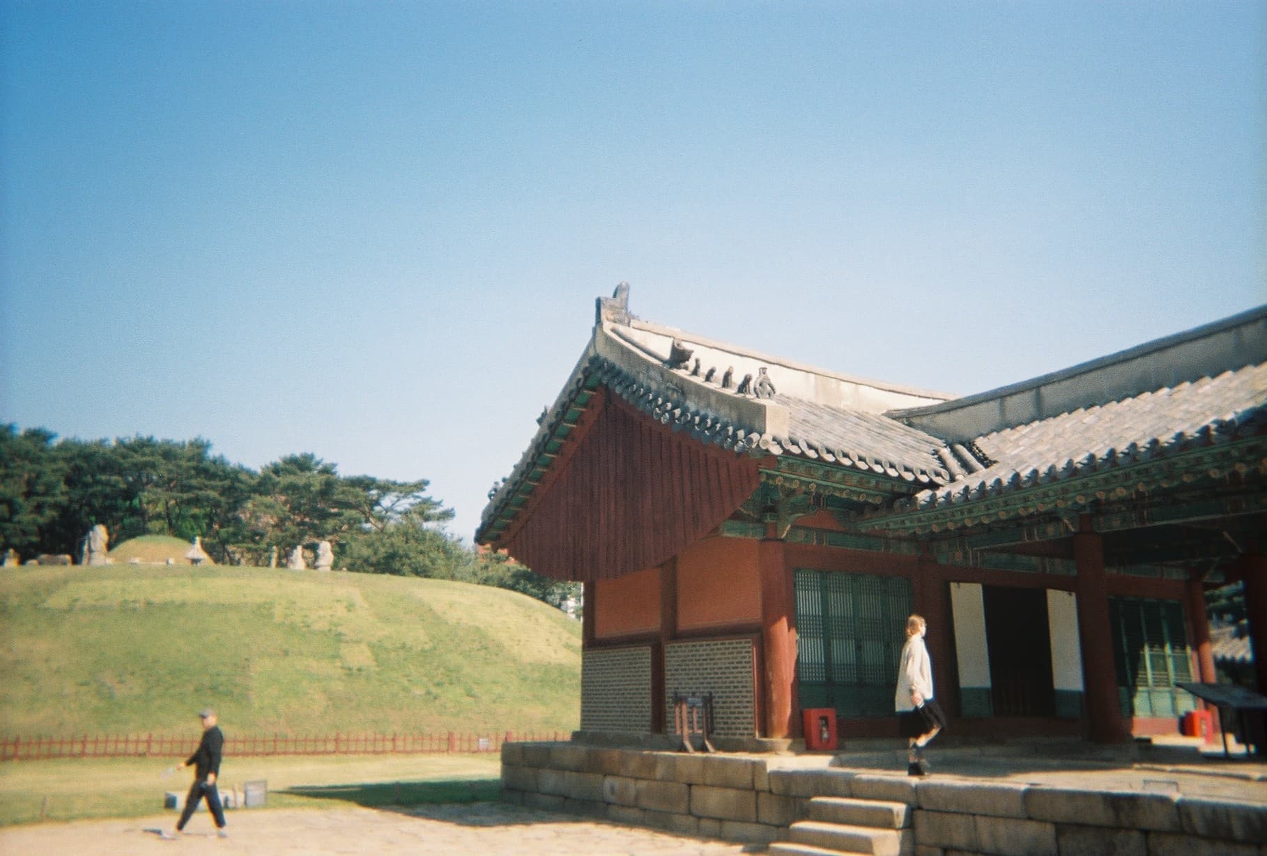 0_film_08.jpg