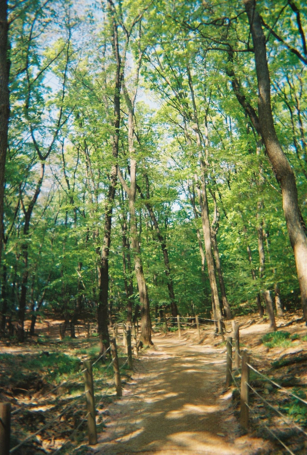 0_film_09.jpg