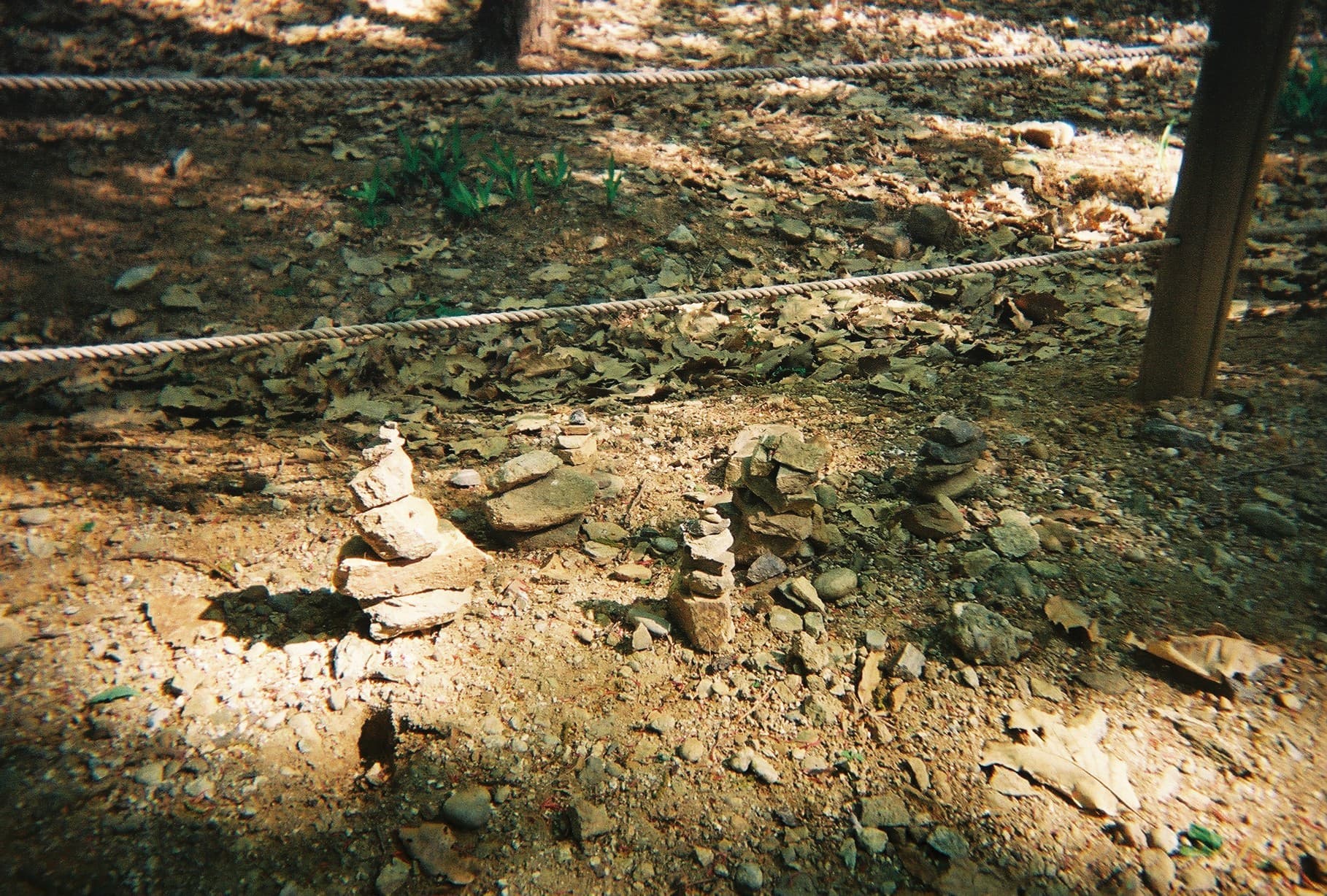 0_film_10.jpg