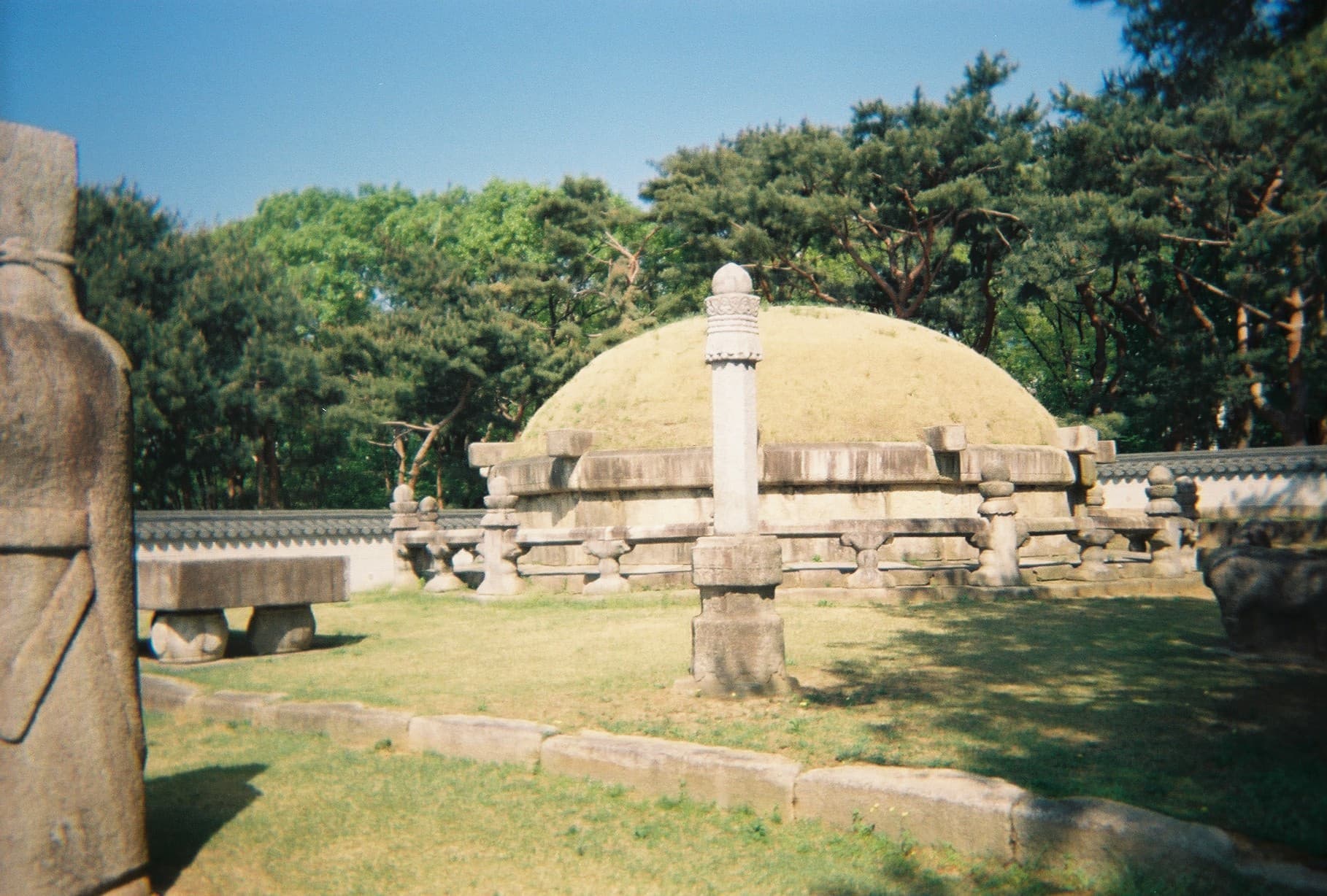 0_film_11.jpg