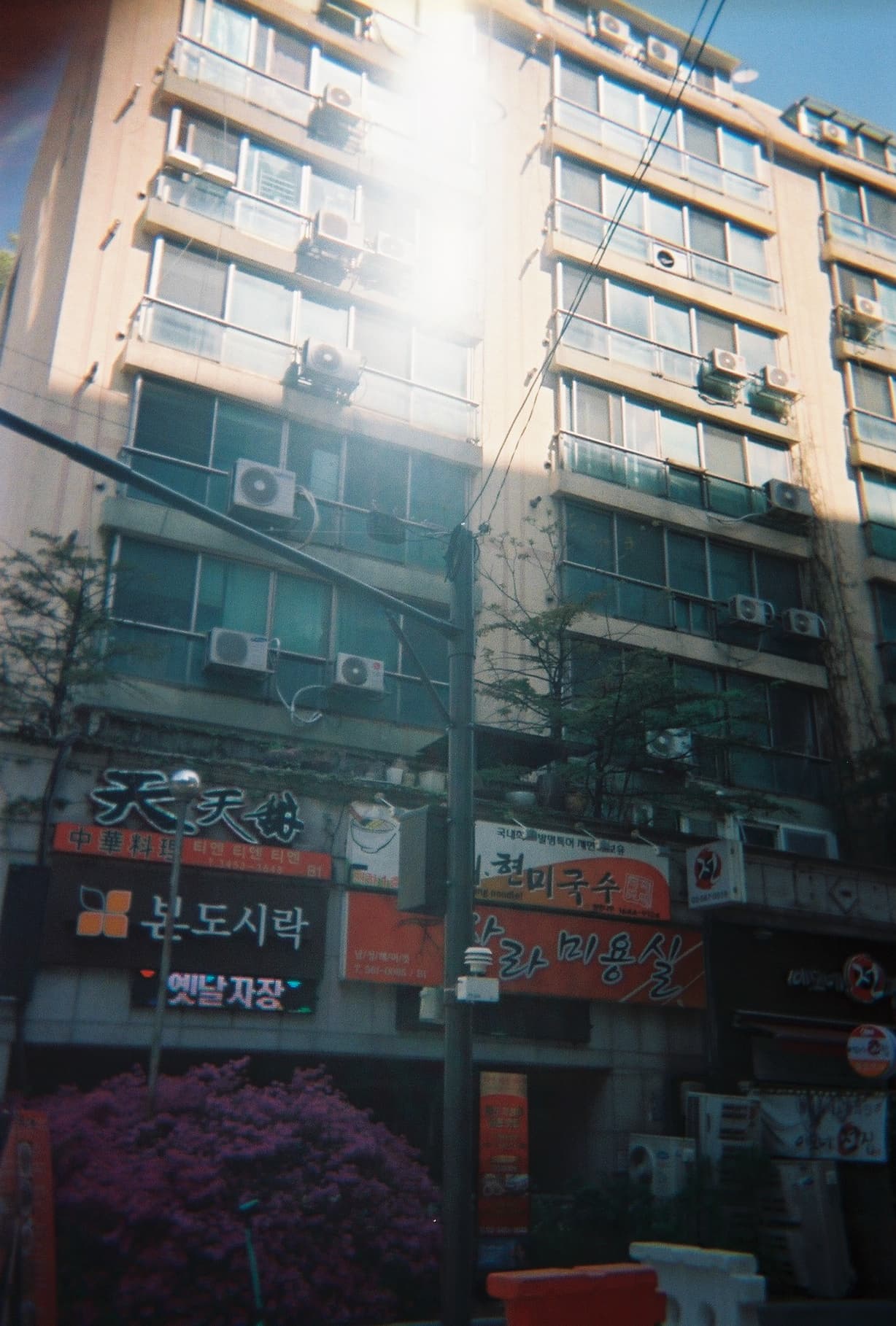 0_film_12.jpg