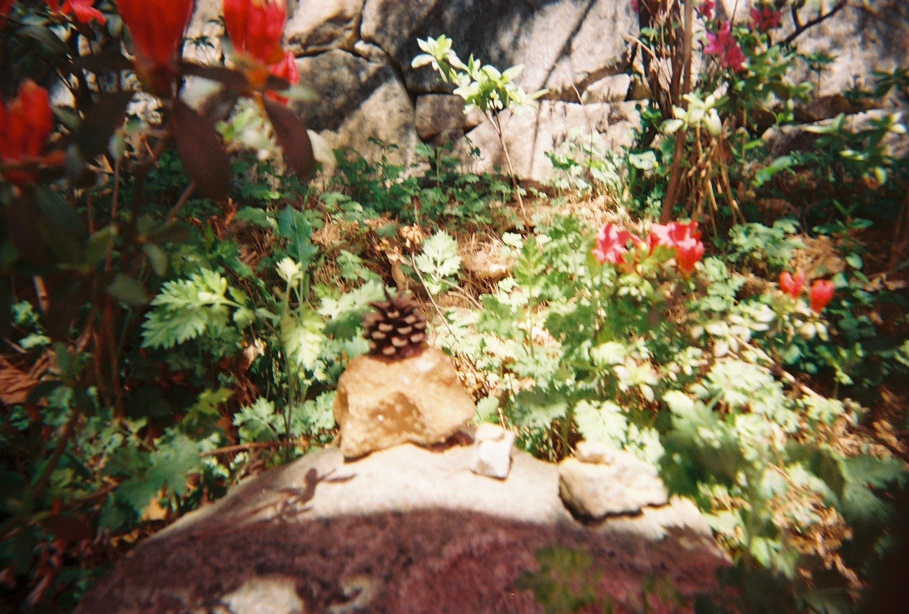 0_film_15.jpg