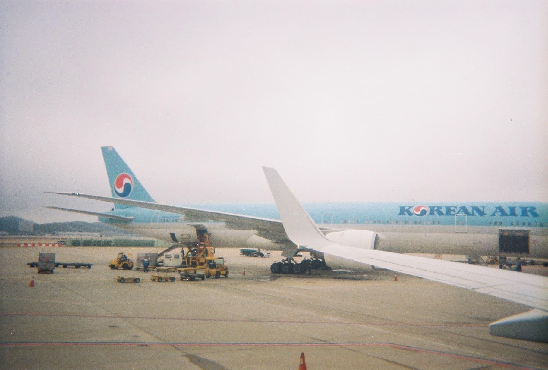 0_film_25.jpg