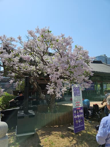 なんかの木