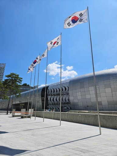 太極旗とDDP