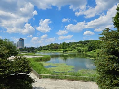 池