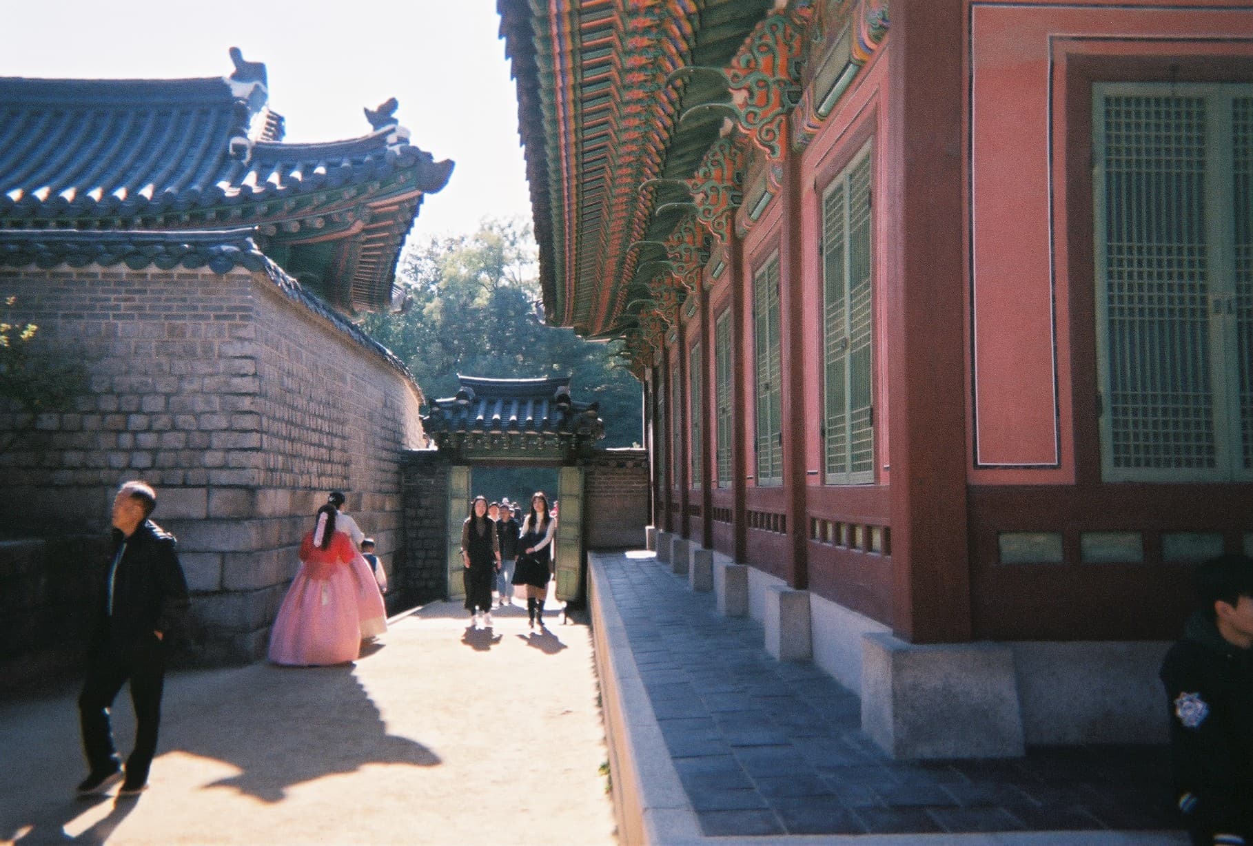 0_film_05.jpg
