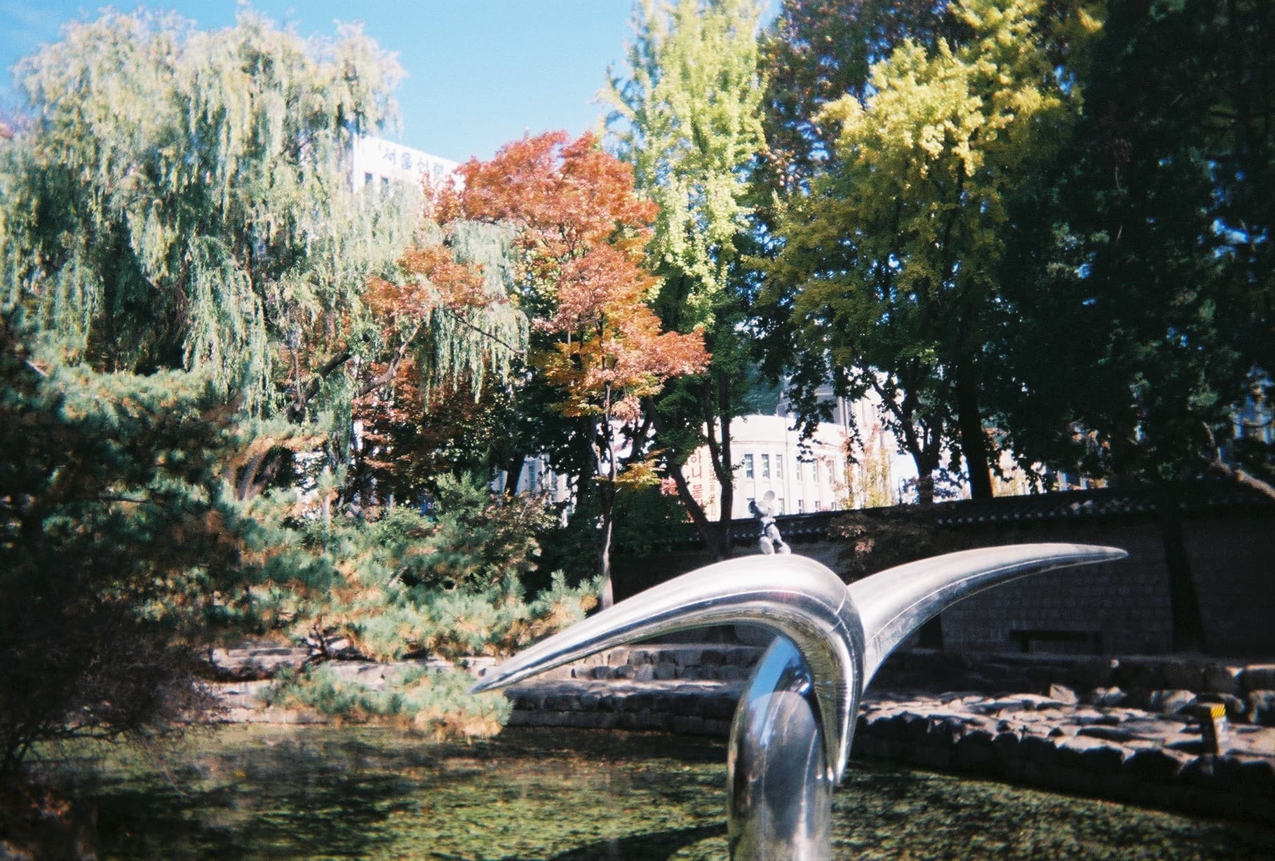 0_film_14.jpg