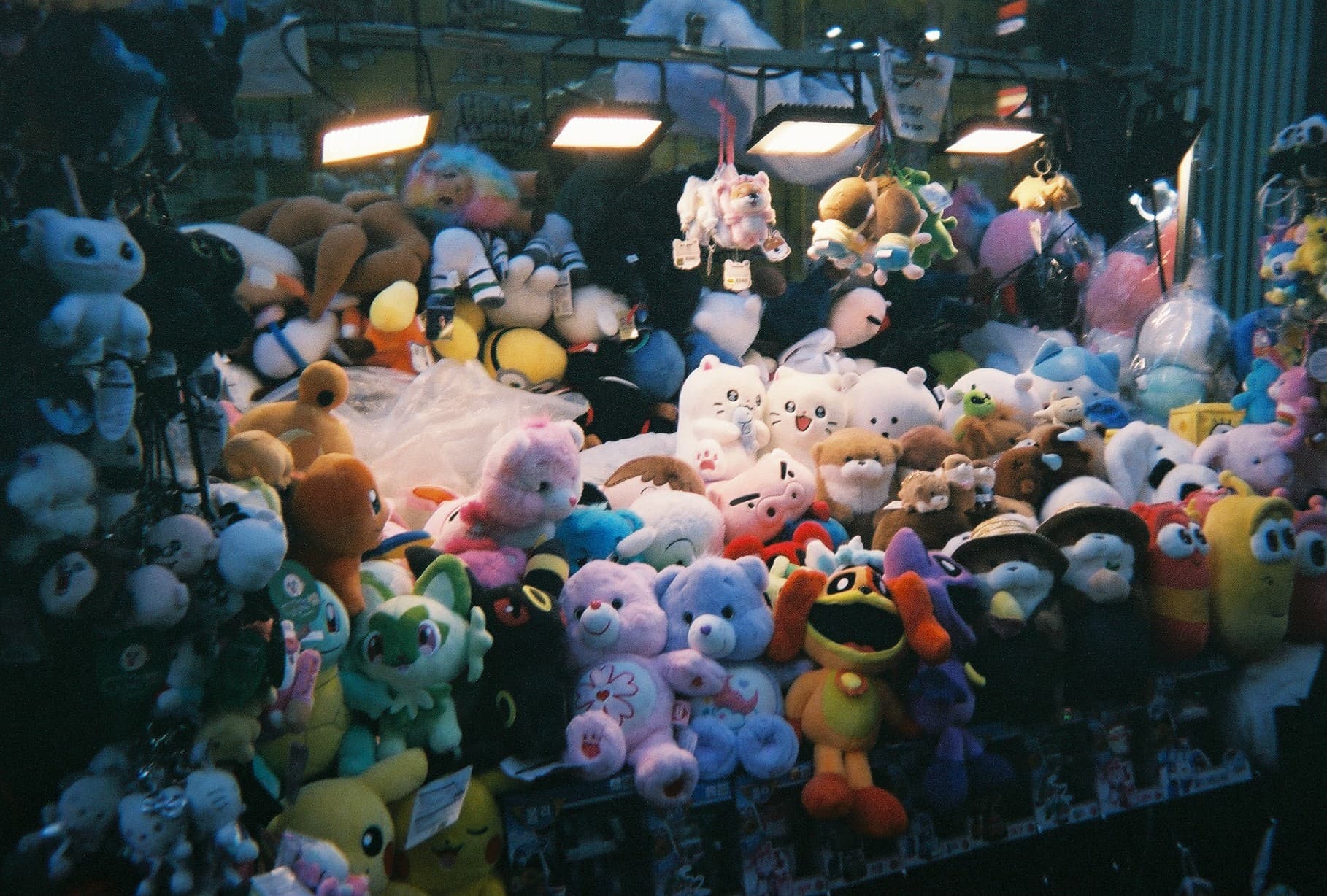 0_film_15.jpg
