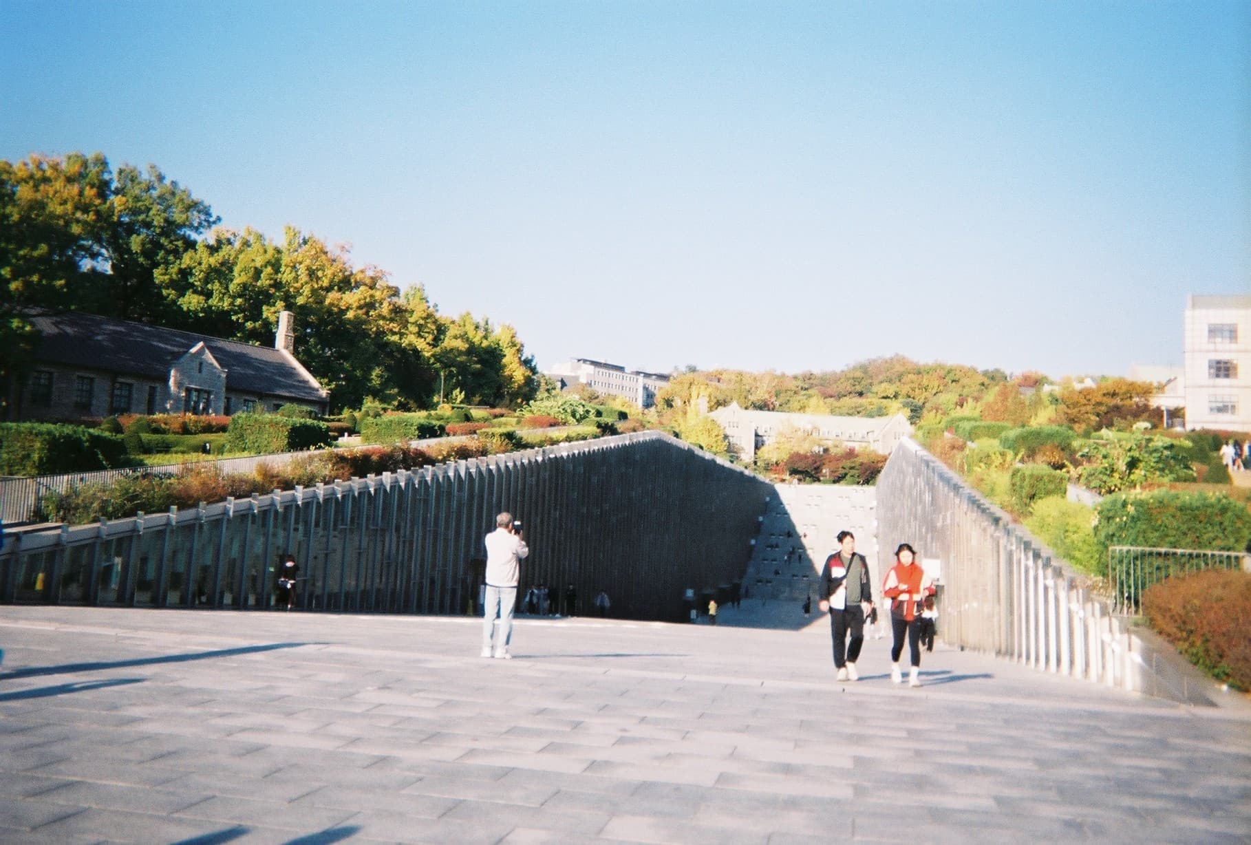 0_film_16.jpg