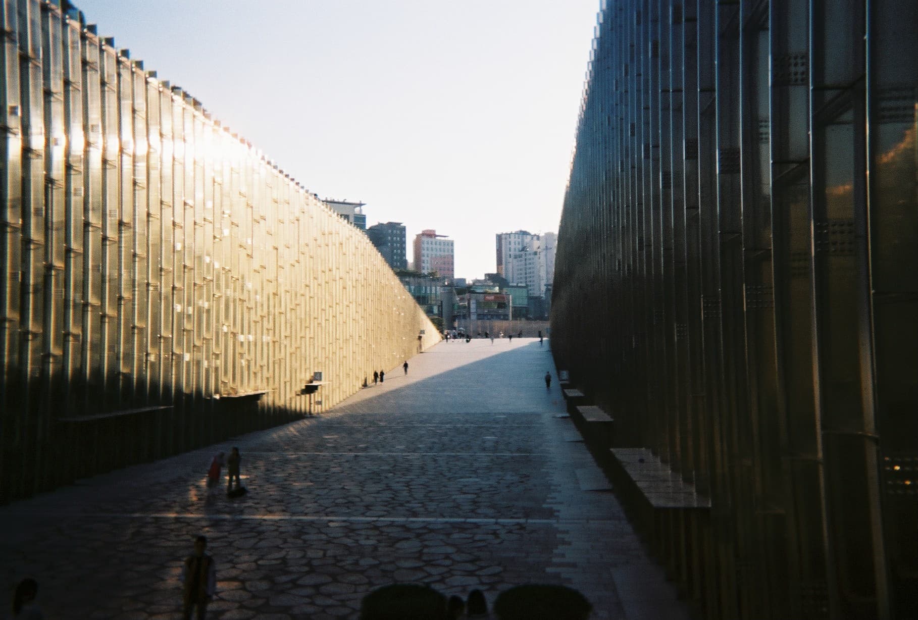 0_film_17.jpg