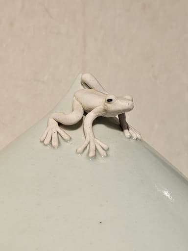 カエル