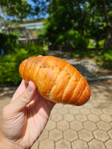 昨日のカフェで買ったパン