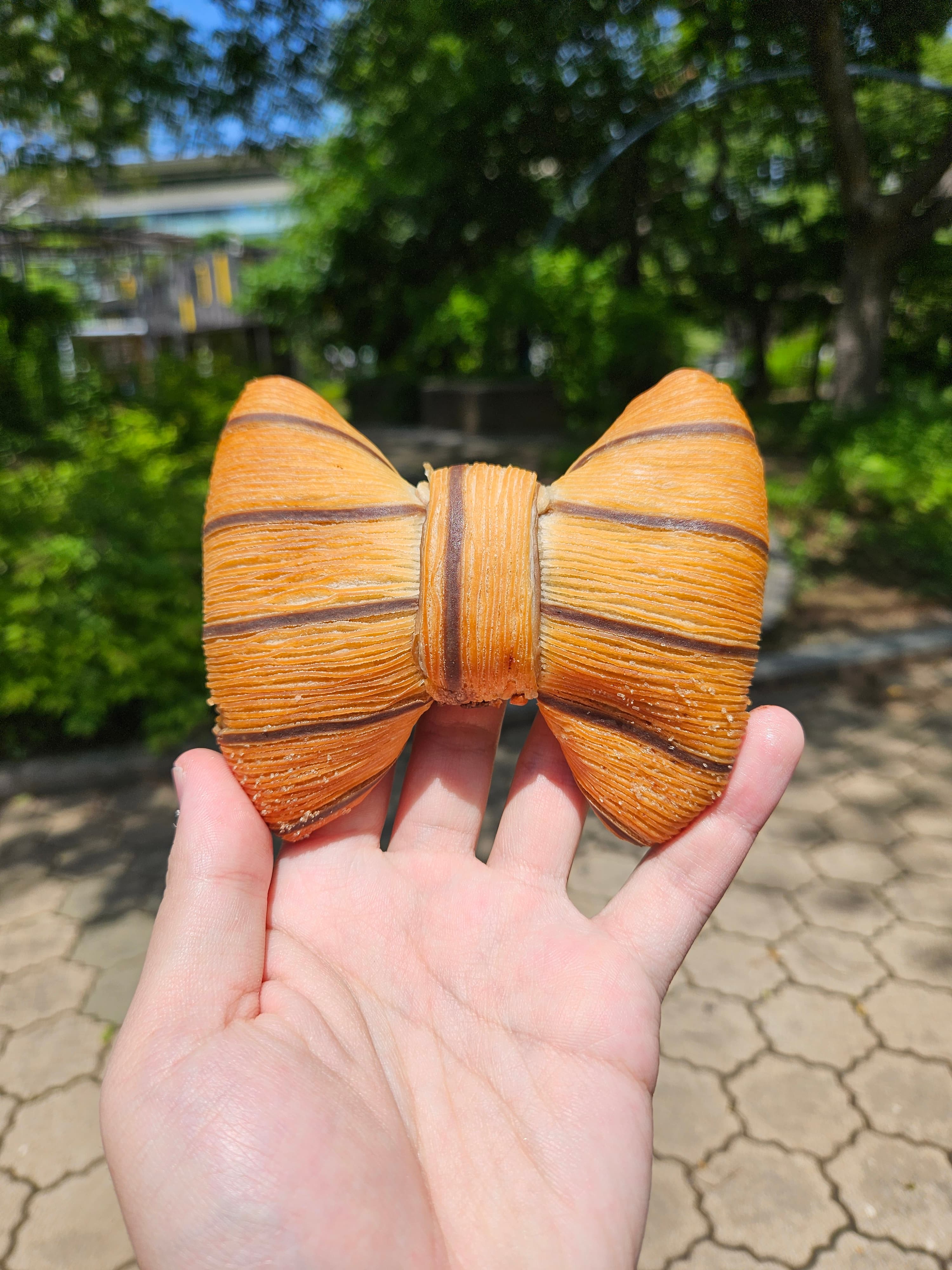 リボン🎀
