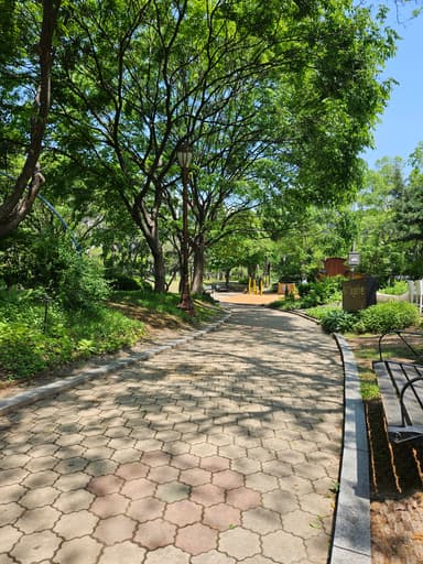 ここは汝矣島公園