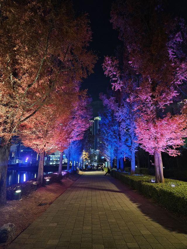 色鮮やかに照らされた木