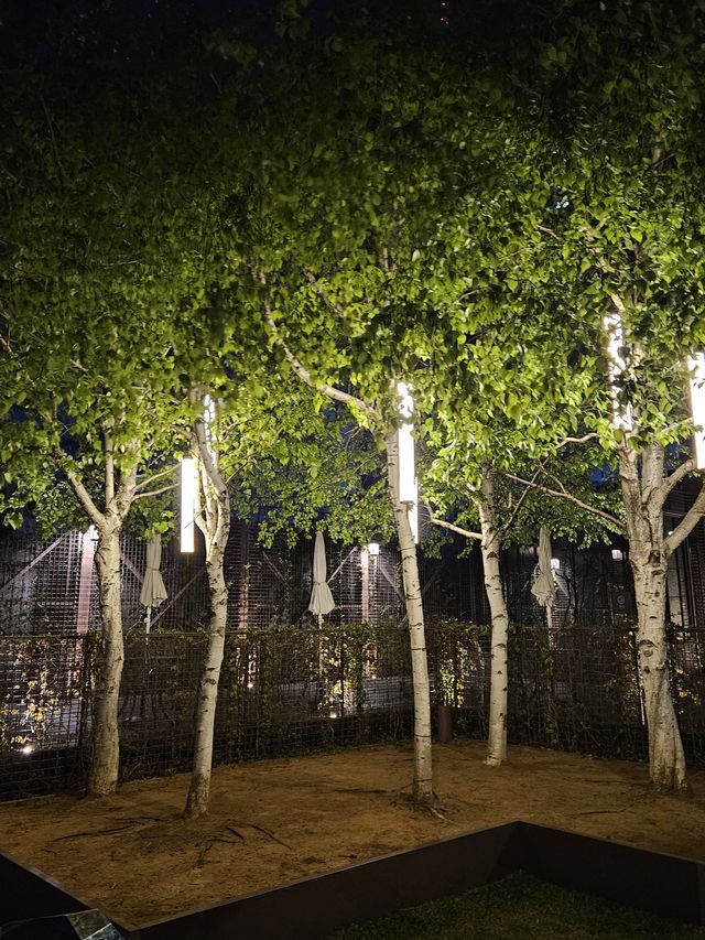 ライトのなる木