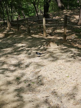 20240414_095146.jpg