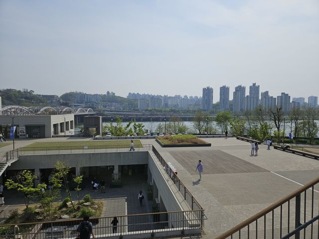 島はこんな感じ