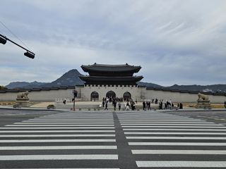 20241110_091731.jpg