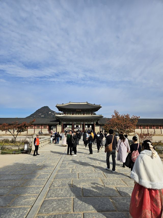 山がいい味だしてる