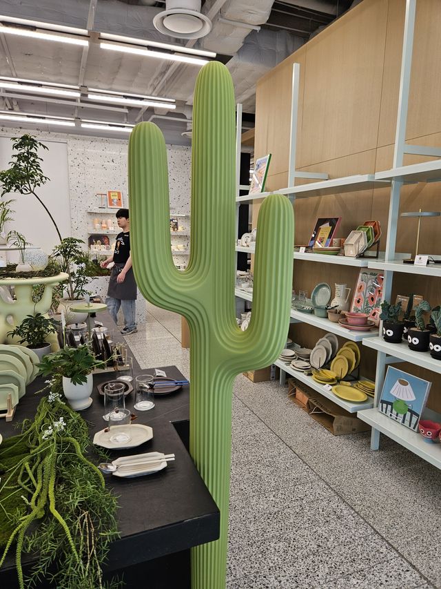 かわいいサボテン