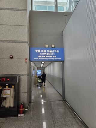 20250519_124829.jpg