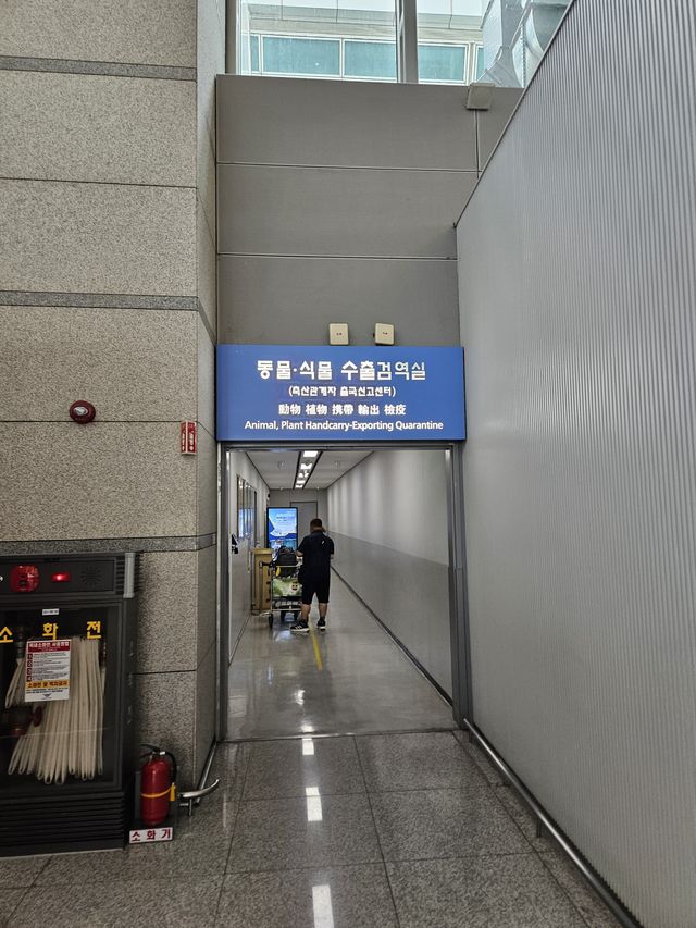 お米を持って帰りたい